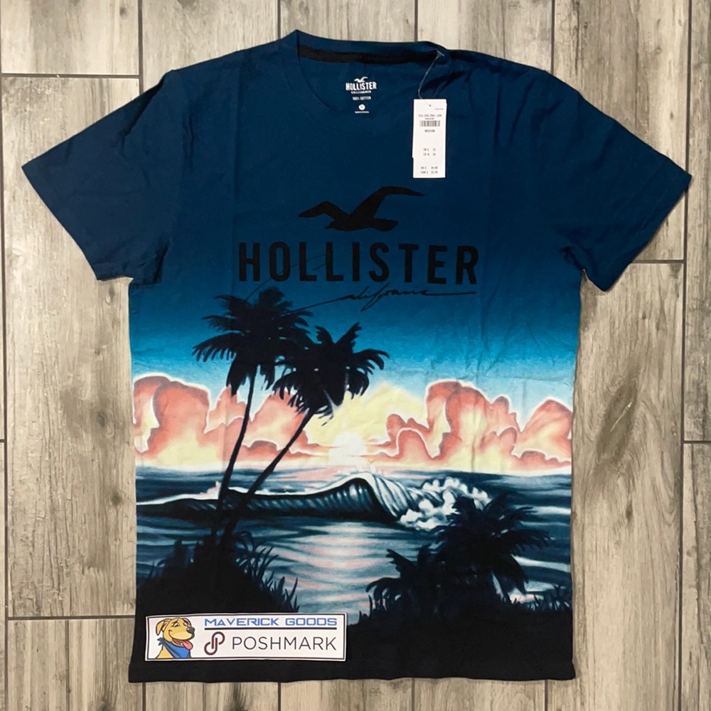 NWT Hollister Graphic Beach T-Shirt